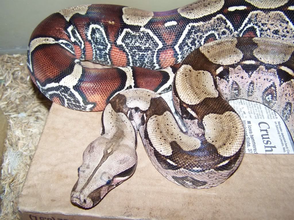 111810boapics004.jpg