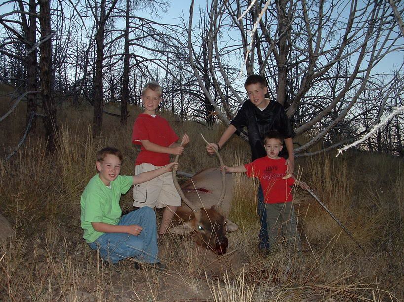 2005Elk.jpg