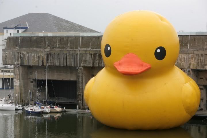 http://img.photobucket.com/albums/v230/zg326/bigduck.jpg