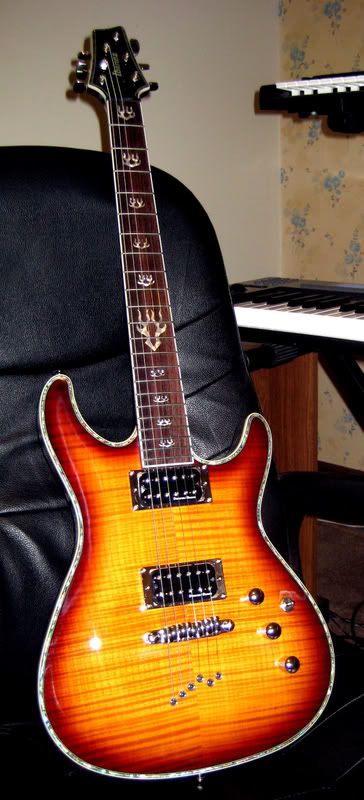 http://img.photobucket.com/albums/v230/zg326/fbnewguitar.jpg