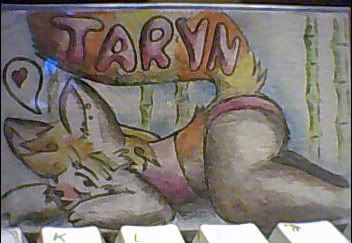 Taryn Badge