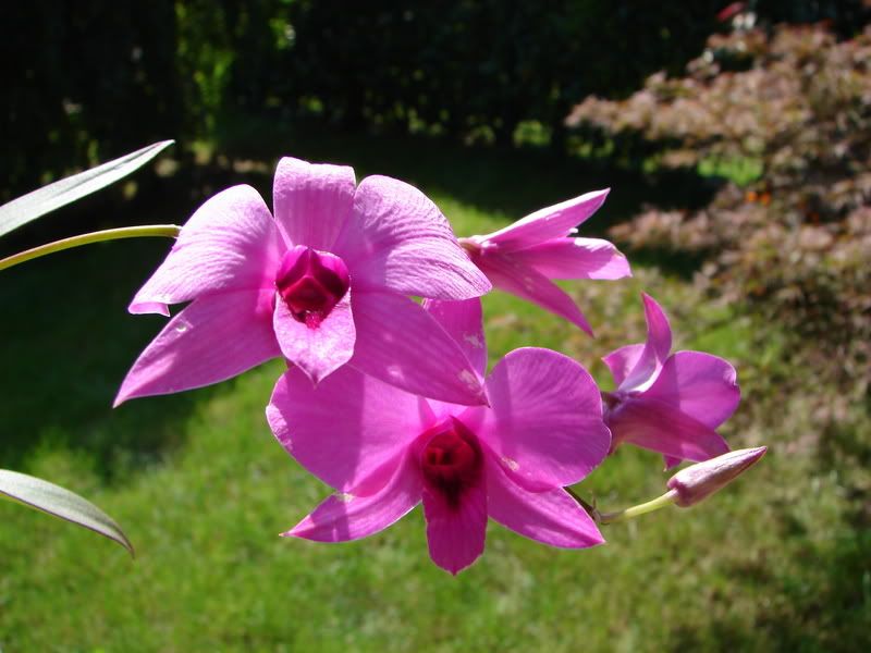 DSC00059.jpg