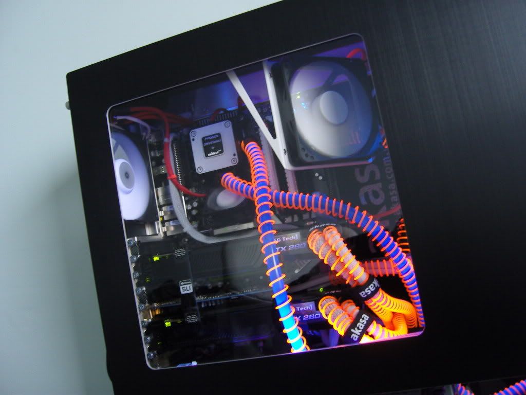 SNV80630.jpg