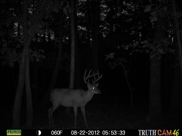 cchctrailcam2895.jpg