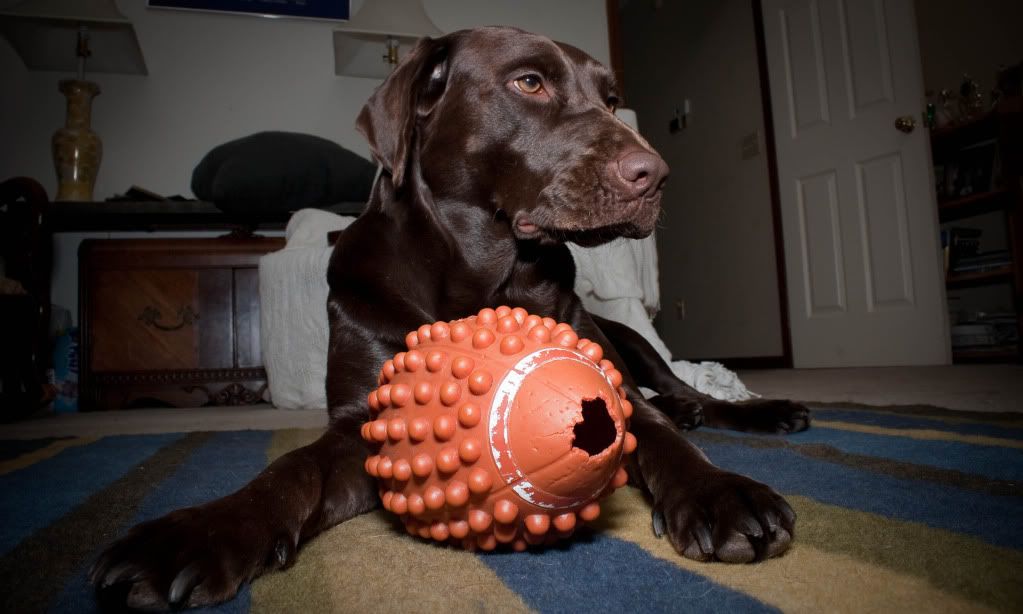 IMAGE: http://img.photobucket.com/albums/v231/crazybryant1/IMG_9264.jpg