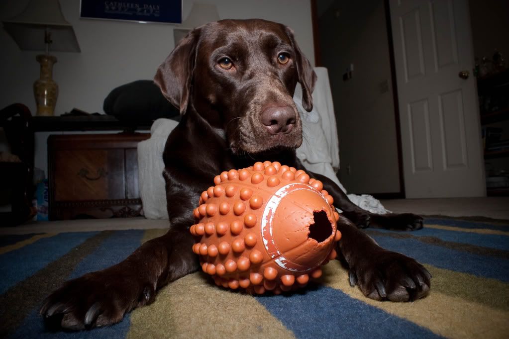 IMAGE: http://img.photobucket.com/albums/v231/crazybryant1/IMG_9269.jpg