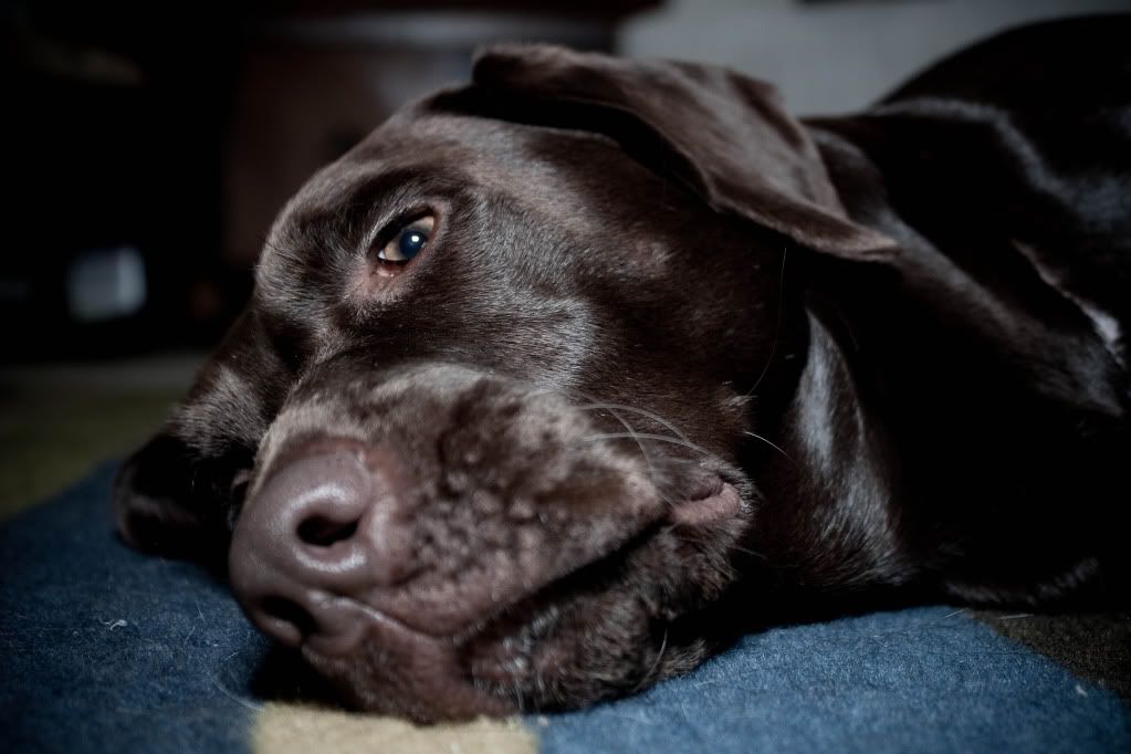 IMAGE: http://img.photobucket.com/albums/v231/crazybryant1/IMG_9292.jpg