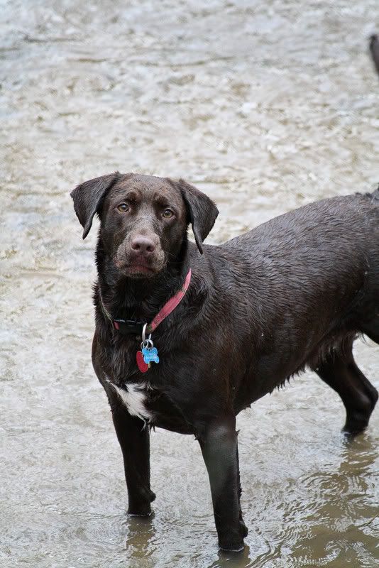 IMAGE: http://img.photobucket.com/albums/v231/crazybryant1/Picture14453.jpg