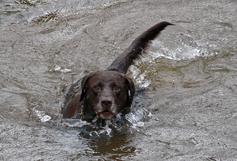 IMAGE: http://img.photobucket.com/albums/v231/crazybryant1/Picture14458.jpg