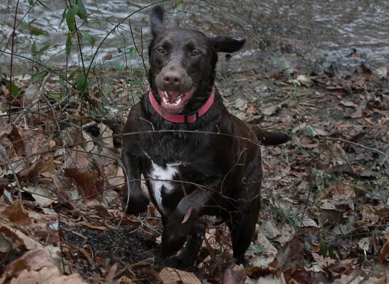 IMAGE: http://img.photobucket.com/albums/v231/crazybryant1/Picture14465.jpg