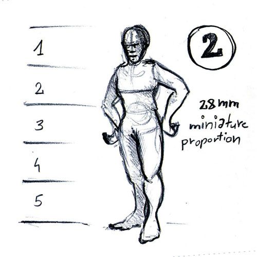 proportion2.jpg