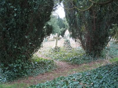 Hosted by Photobucket.com