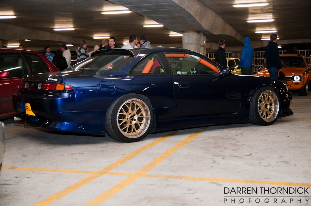 [Image: DSC_6408-2.jpg]