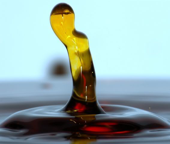 IMAGE: http://img.photobucket.com/albums/v232/DemonEscortS/Photography/DSC_0039640x480-1.jpg