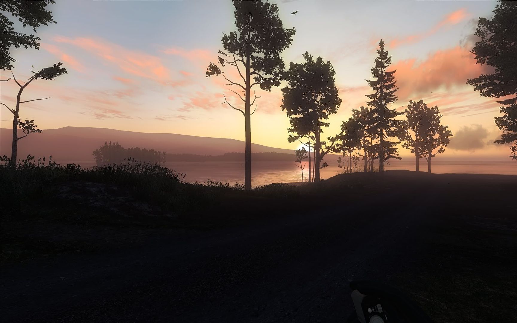 theHunter2010-01-2123-30-26-32.jpg