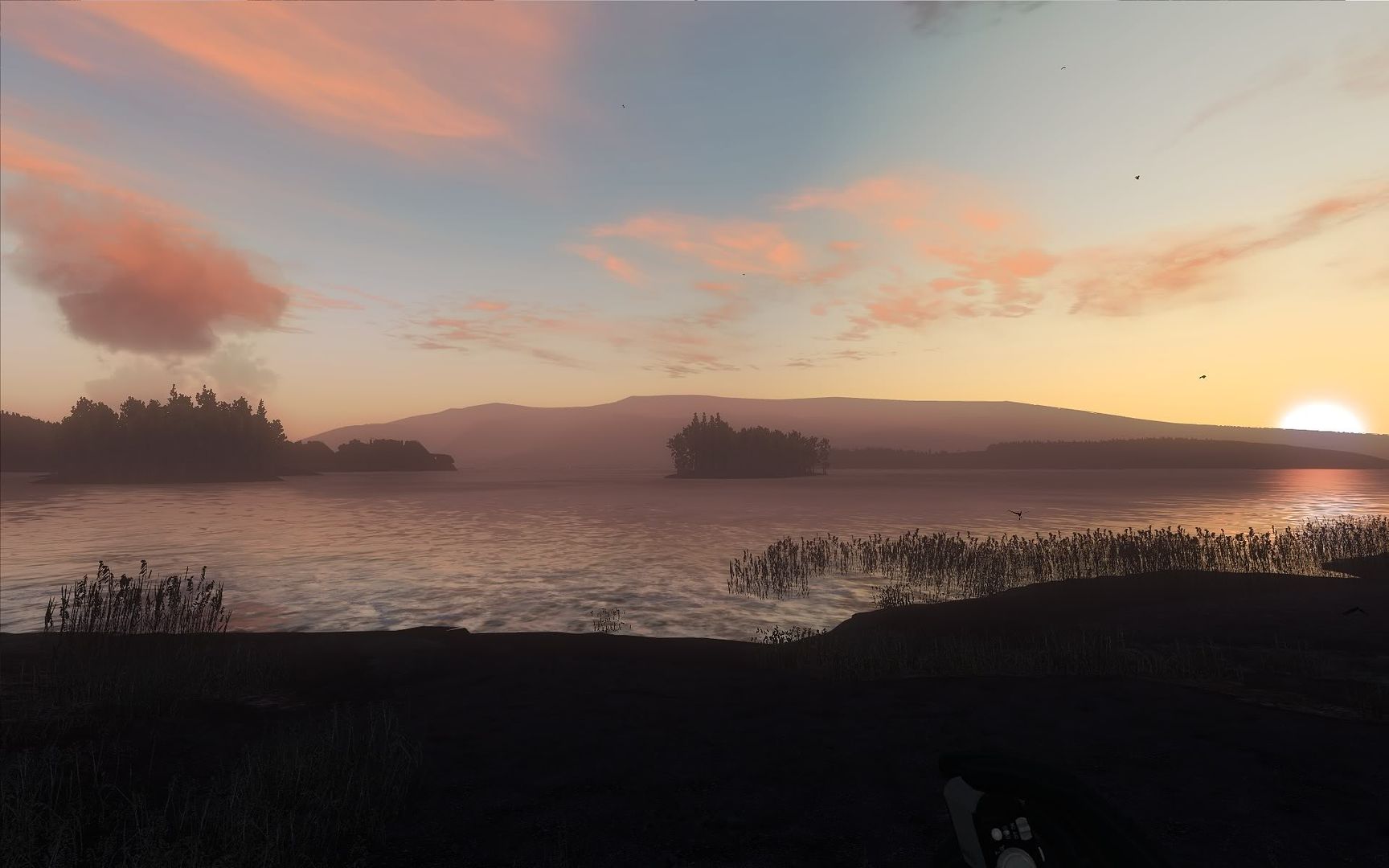 theHunter2010-01-2123-30-52-69.jpg