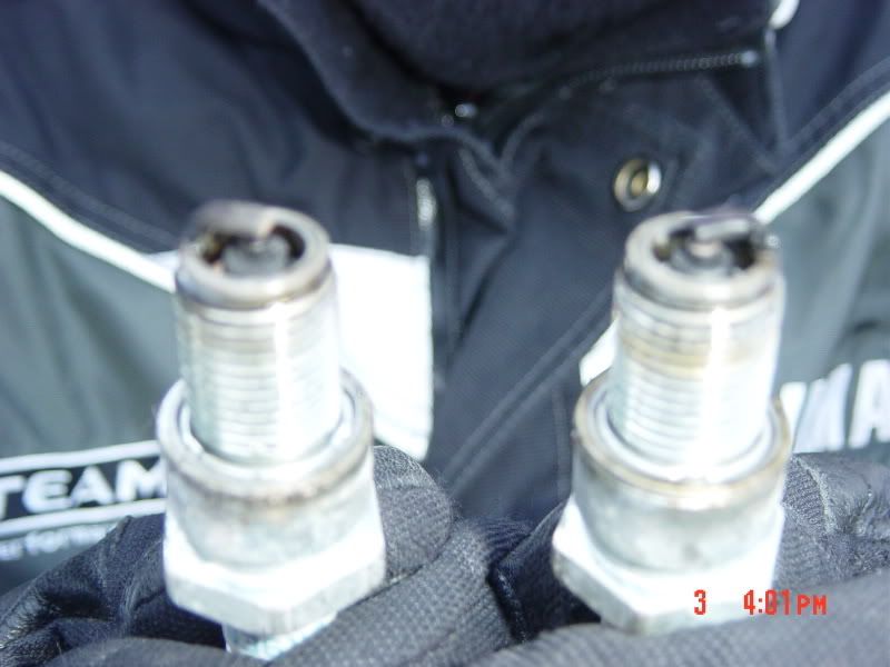 sparkplugs005.jpg