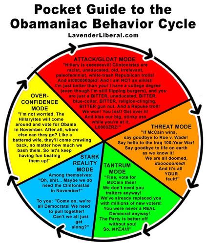 guide_to_obamaniac2.jpg picture by Robbedvoter