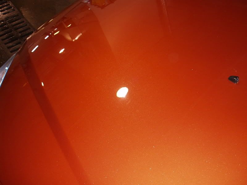 033.jpg