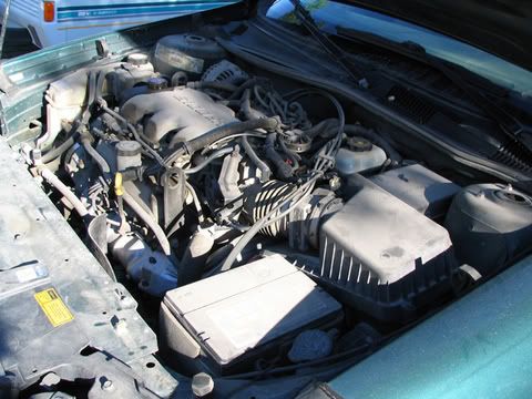malibu030.jpg