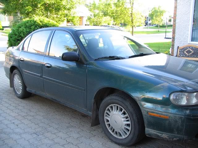 malibu054.jpg