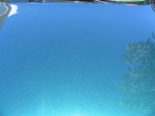 malibu103.jpg