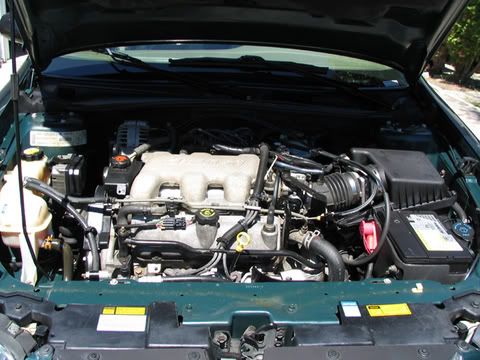 malibu115.jpg