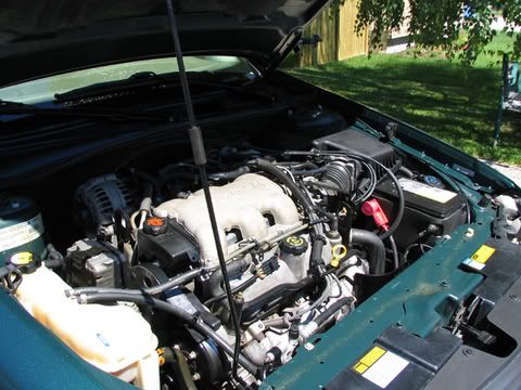 malibu116.jpg