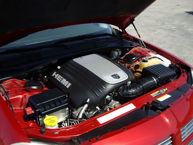 magnum412.jpg