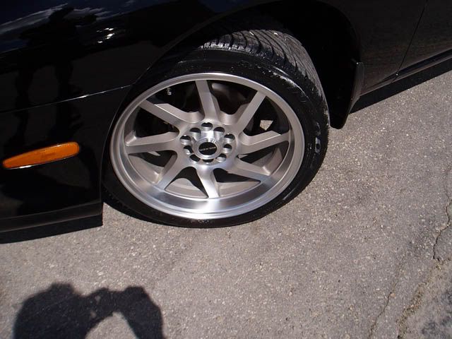 silvia009.jpg