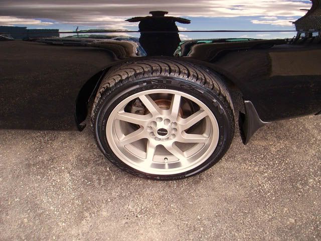 silvia017.jpg