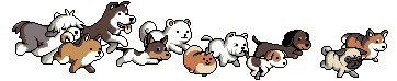 GIFDogs.gif