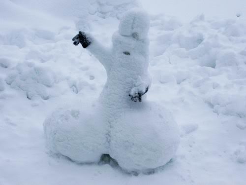 What do you think this is?