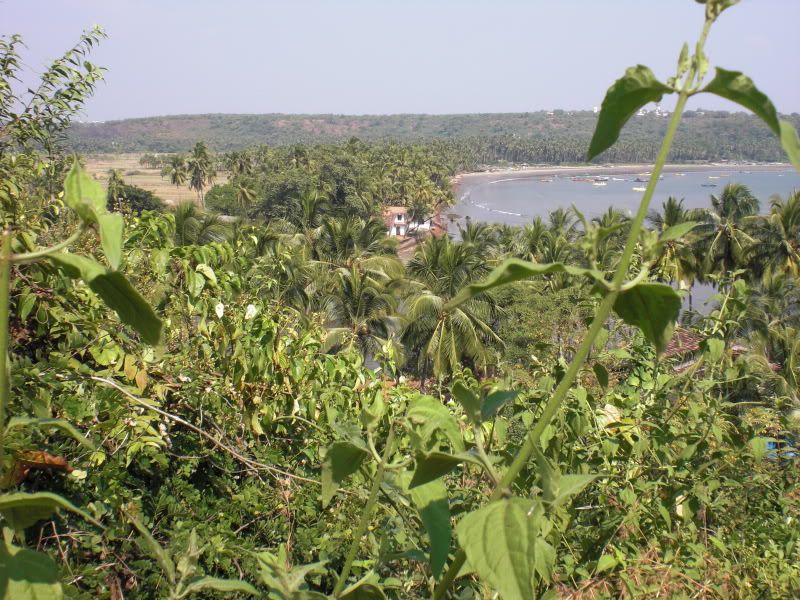 Nice view on a mountain in Goa