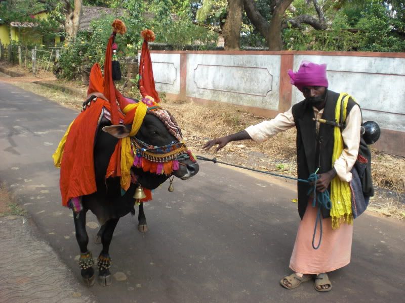 Traditional Karnataka Garb