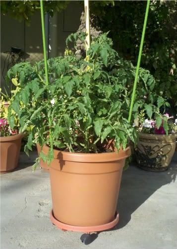  photo 2011-03-14_16-40-04_821.jpg