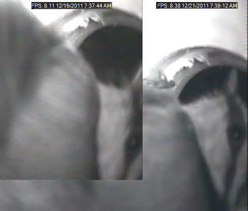 Compare_20111221_1.jpg