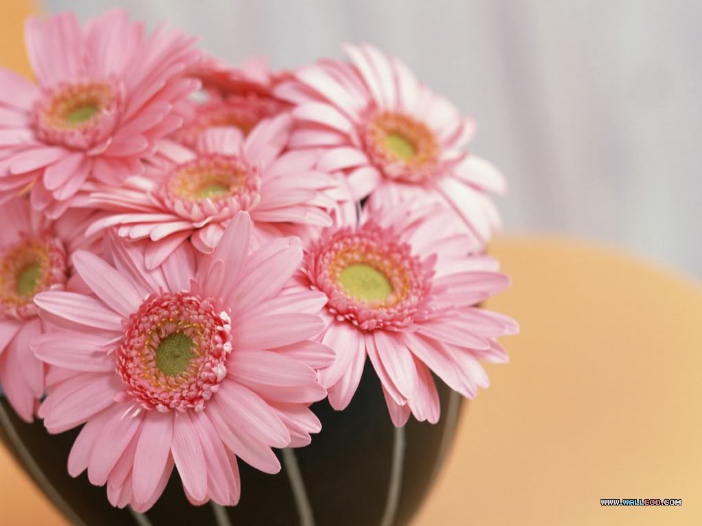 1flower-art42.jpg