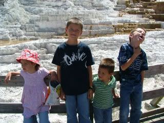 Mammoth Hot Springs