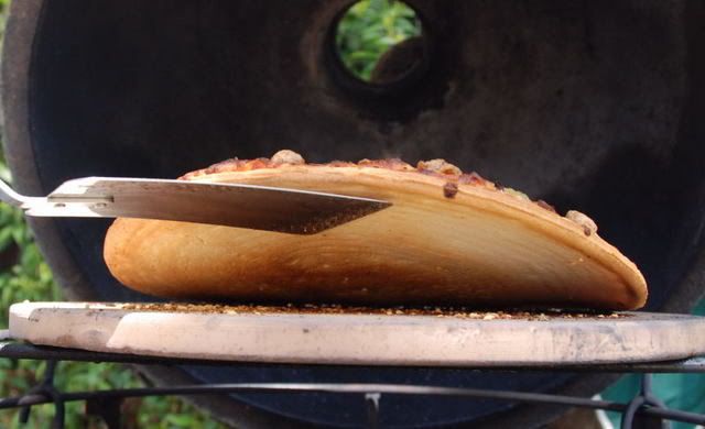 pizzawithstoneunderside0001.jpg
