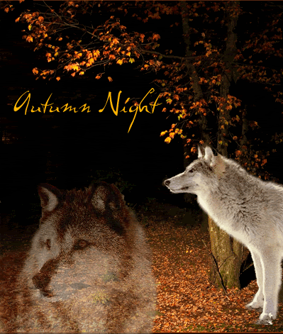 AutumnNights.gif Autumn Nights image by Ashluvagirl426