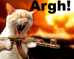 cat gun photo: Argh Cat Gun argh-cat-bang-ani.gif
