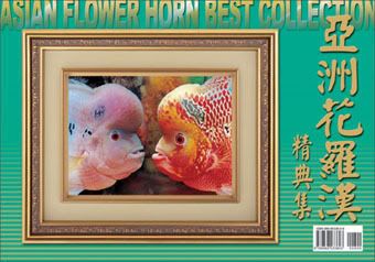 Flowerhorn_Asian_Flowerhorn_Best_Co.jpg