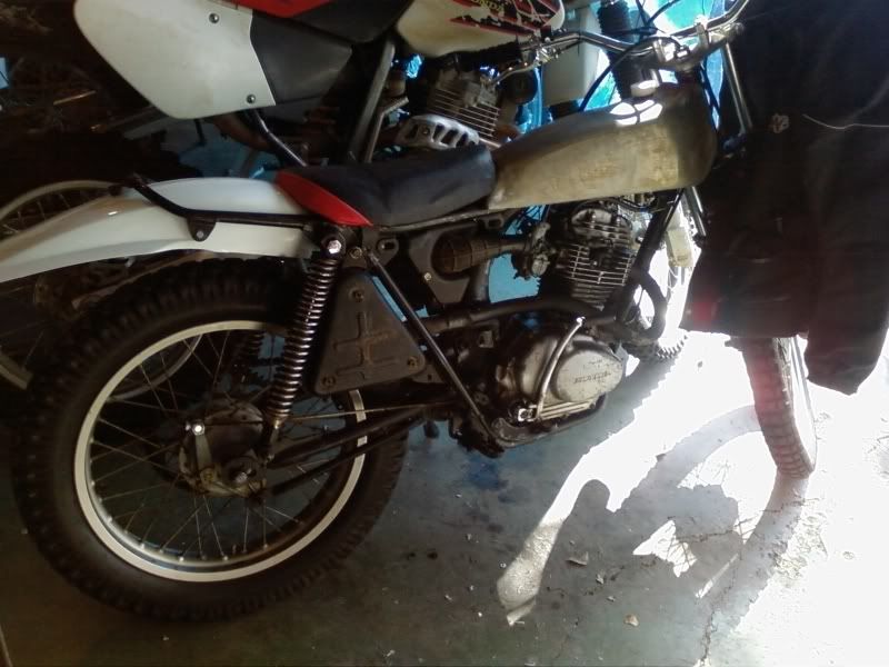 Posted Image