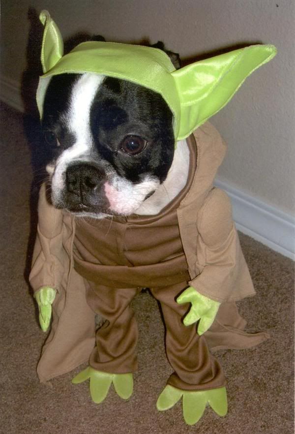 http://img.photobucket.com/albums/v234/Robz_p/2e90b020342fd26a0c8255e1a03d077c.jpg