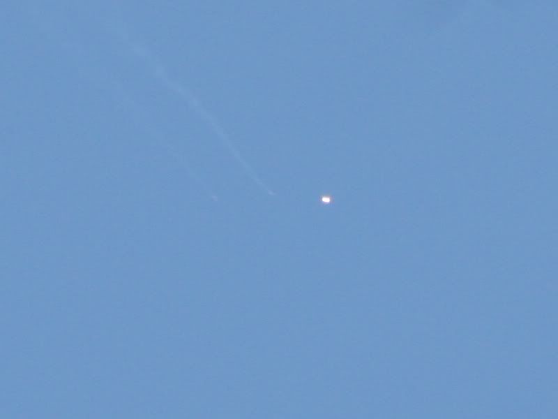 51_srb_sep.jpg