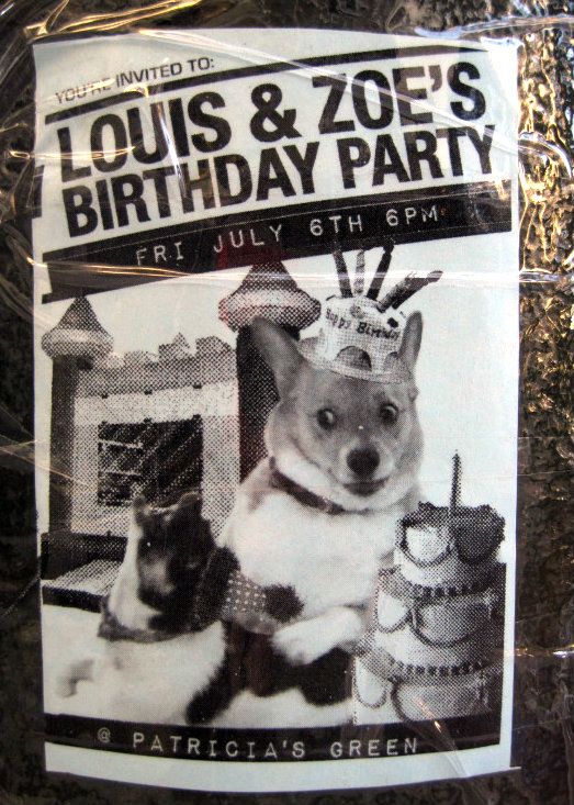 louis-zoes-birthday-party-flyer