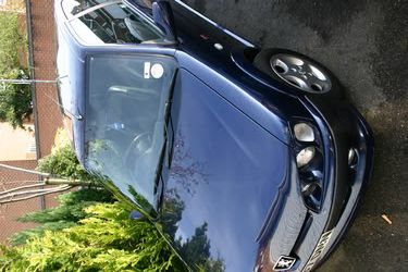 IMAGE: http://img.photobucket.com/albums/v234/mark_r52002/randomsmaller.jpg