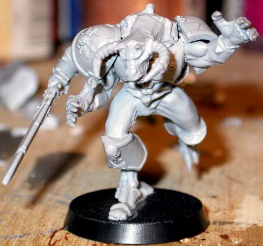 Dp_arms_33.jpg