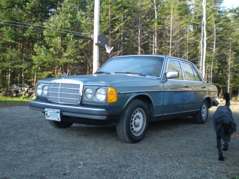 Mercedes 300d wagon 1981
